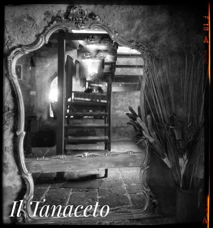 מלון קסטיליונה די סיציליה Il Tanaceto מראה חיצוני תמונה